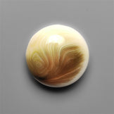 Shiva Eye Shell Cabochon
