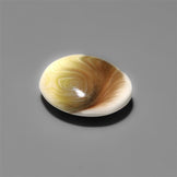 Shiva Eye Shell Cabochon