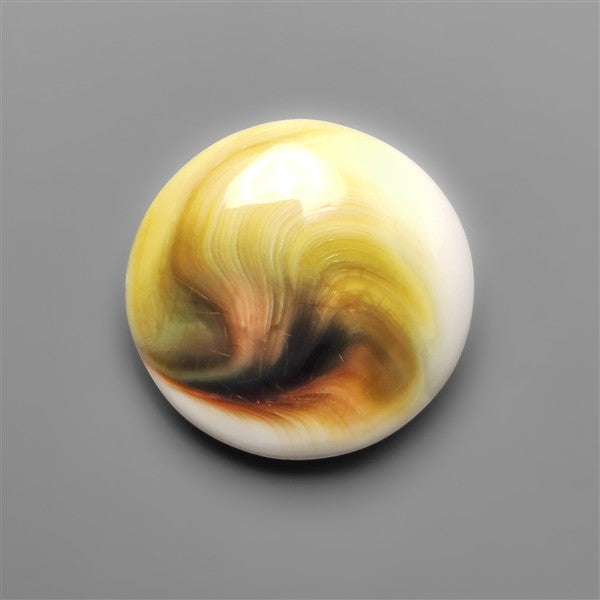 Shiva Eye Shell Cabochon
