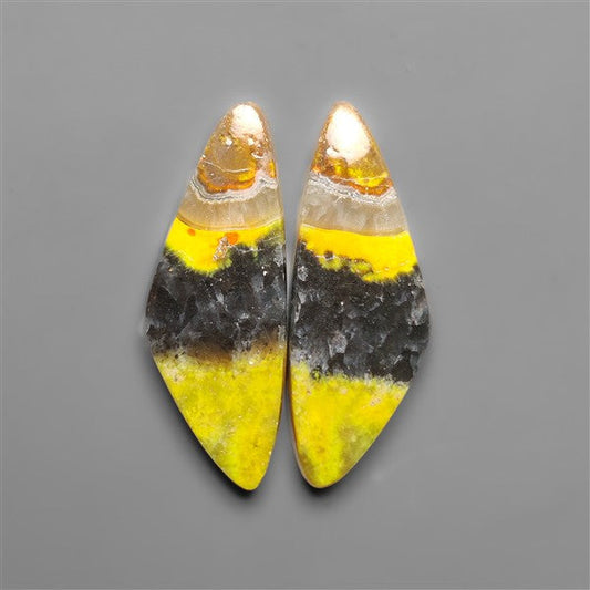 Bumble Bee Jaspers Pair