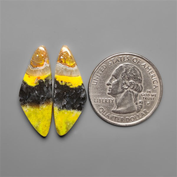 Bumble Bee Jaspers Pair