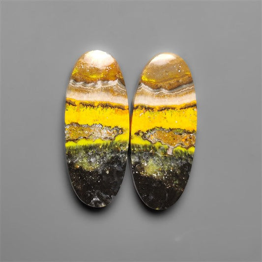 Bumble Bee Jaspers Pair
