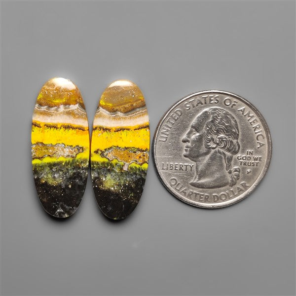 Bumble Bee Jaspers Pair