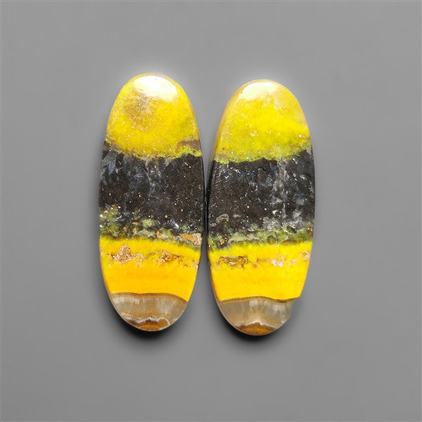 Bumble Bee Jaspers Pair