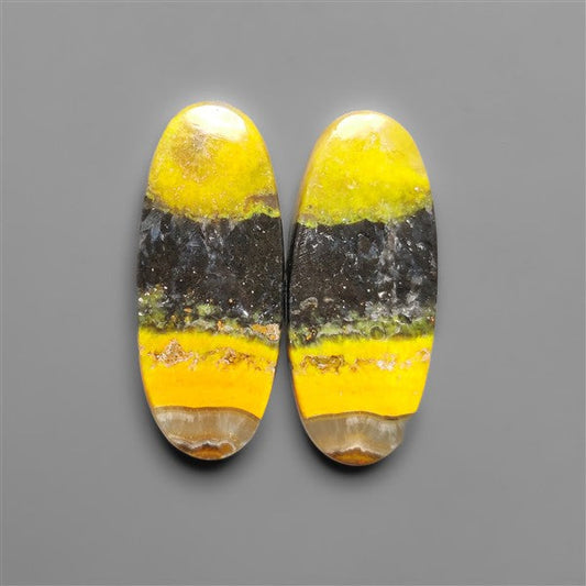 Bumble Bee Jaspers Pair