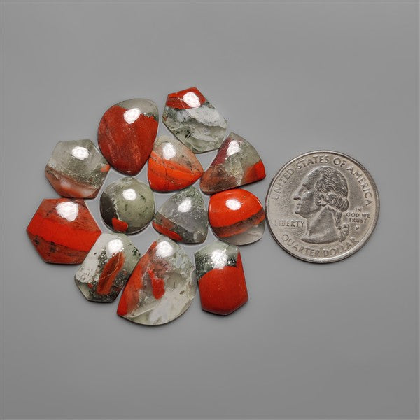 African Bloodstones Lot