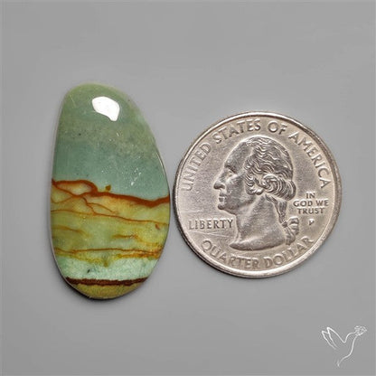 Polychrome Picture Jasper