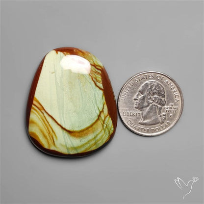 Polychrome Picture Jasper