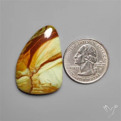 Polychrome Picture Jasper