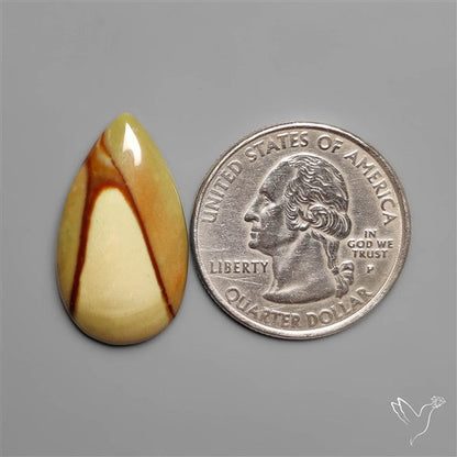 Polychrome Picture Jasper
