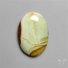 Polychrome Picture Jasper