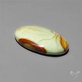 Polychrome Picture Jasper