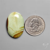 Polychrome Picture Jasper
