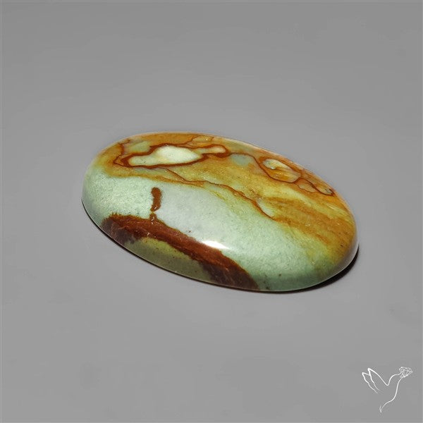 Polychrome Picture Jasper