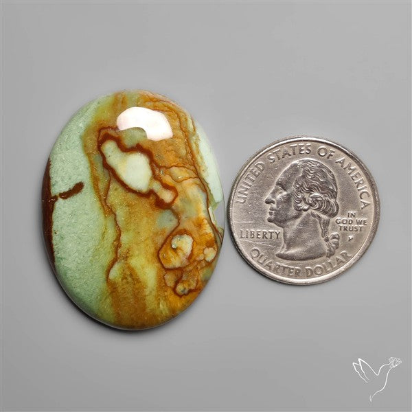 Polychrome Picture Jasper
