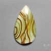 Polychrome Picture Jasper
