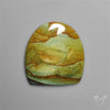 Polychrome Picture Jasper