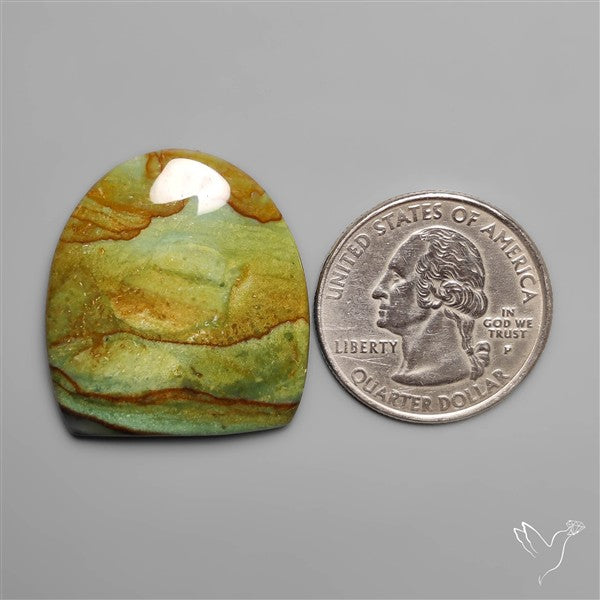Polychrome Picture Jasper