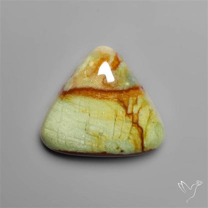 Polychrome Picture Jasper