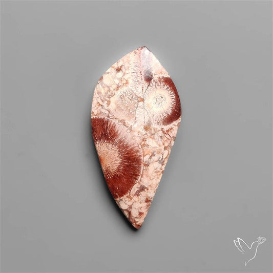 Bird Eye Jasper Cabochon