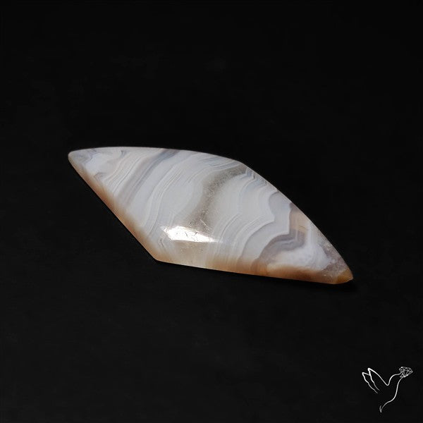 Oregon White Crazylace Agate