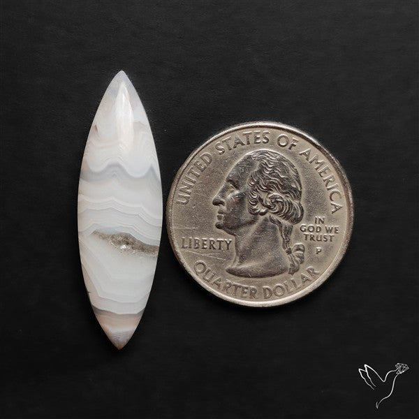 Oregon White Crazylace Agate