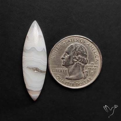 Oregon White Crazylace Agate