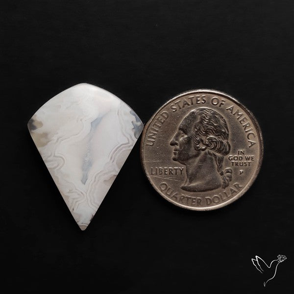 Oregon White Crazylace Agate