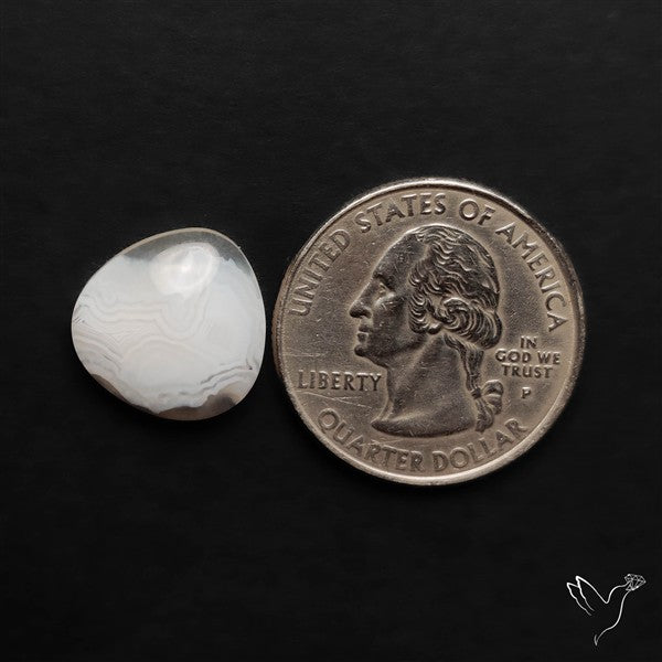 Oregon White Crazylace Agate