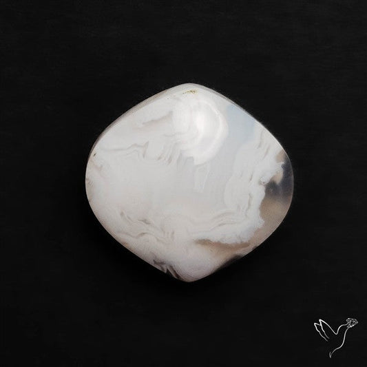 Oregon White Crazylace Agate