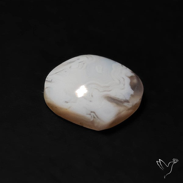 Oregon White Crazylace Agate
