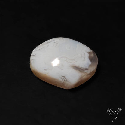 Oregon White Crazylace Agate