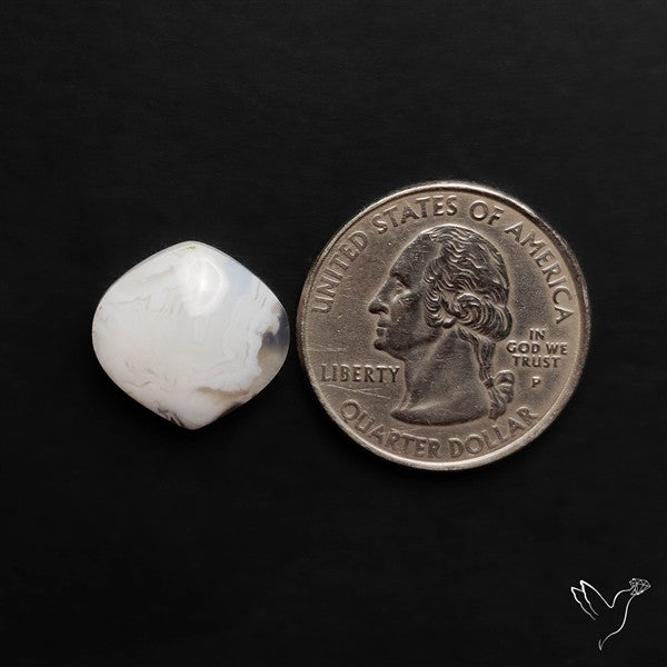 Oregon White Crazylace Agate