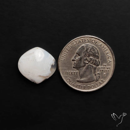 Oregon White Crazylace Agate