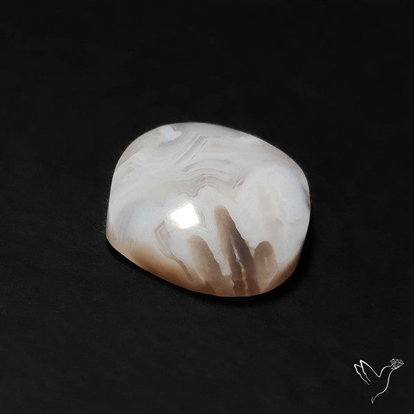 Oregon White Crazylace Agate