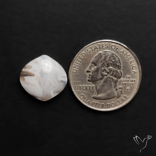 Oregon White Crazylace Agate