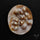 Multi Blisters Pearl Large Specimen