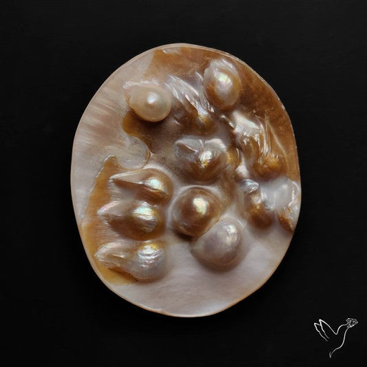 Multi Blisters Pearl Large Specimen
