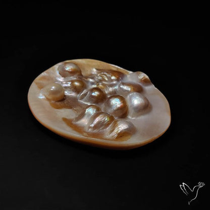 Multi Blisters Pearl Large Specimen