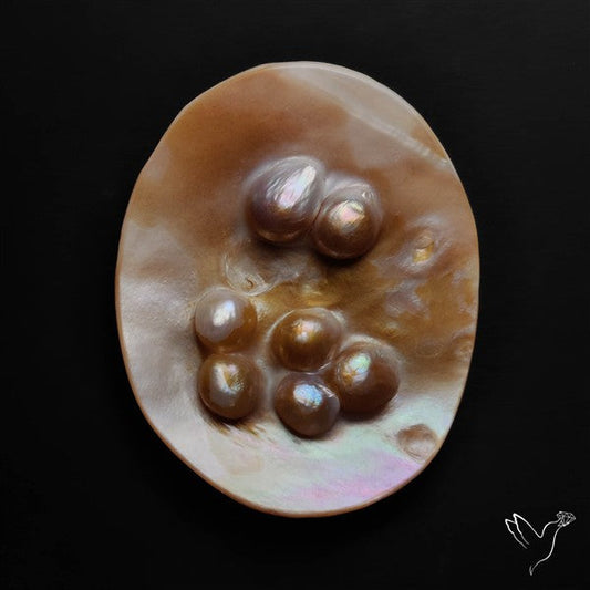 Multi Blisters Pearl Large Specimen