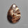 Golden Seraphinite Cabochon