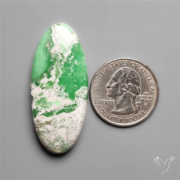 Lucin Utah Variscite Cabochon