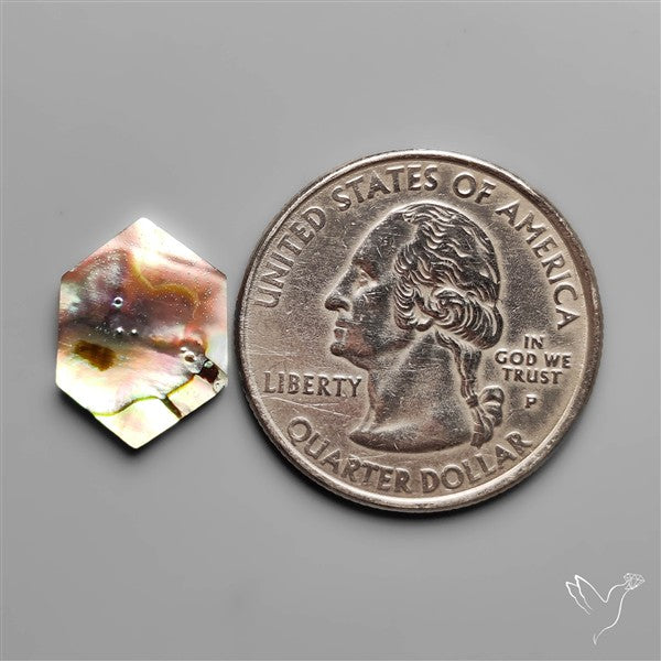 Abalone Shell Hexagon