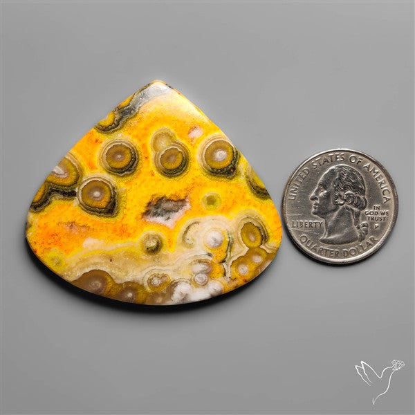 Orbicular Bumble Bee Jasper Cabochon