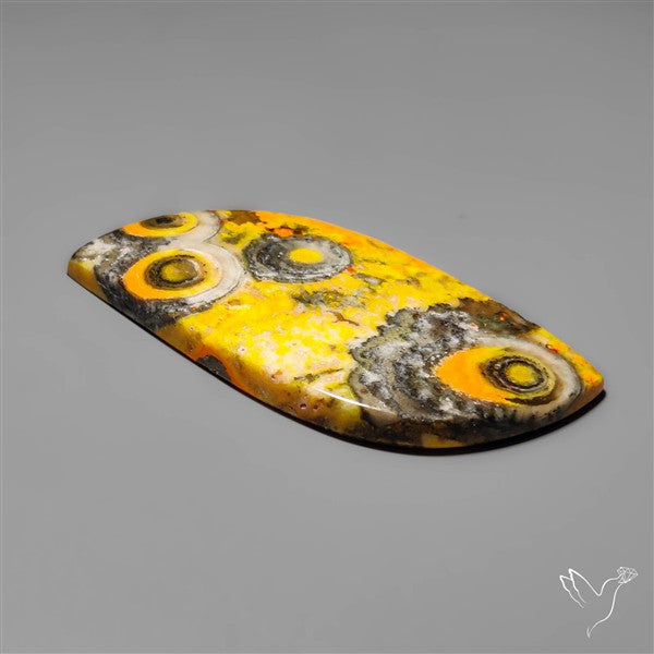 Orbicular Bumble Bee Jasper Cabochon