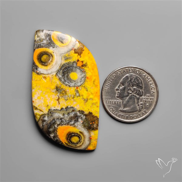 Orbicular Bumble Bee Jasper Cabochon