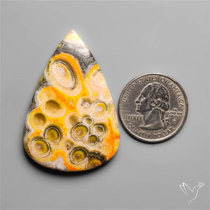 Orbicular Bumble Bee Jasper Cabochon