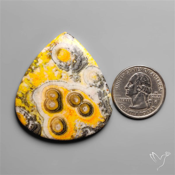 Orbicular Bumble Bee Jasper Cabochon