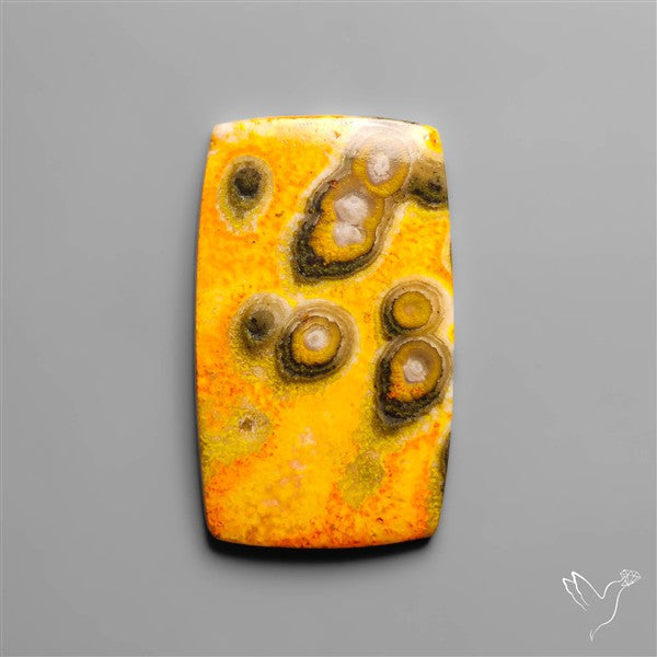 Orbicular Bumble Bee Jasper Cabochon