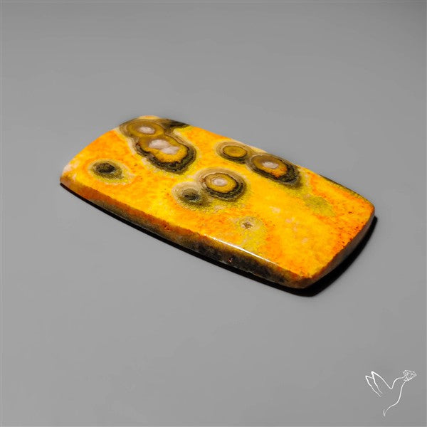 Orbicular Bumble Bee Jasper Cabochon
